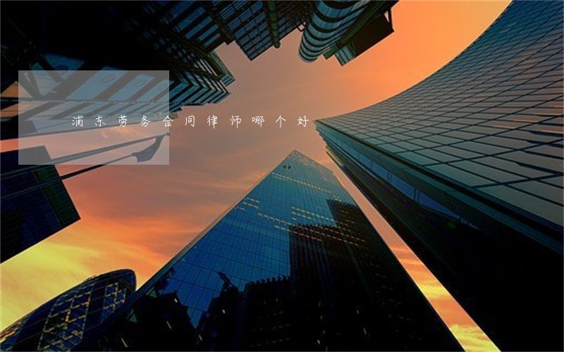 浦东劳务合同律师哪个好