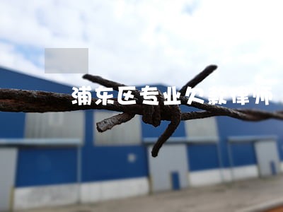 浦东区专业欠款律师