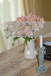 浦东区加工承揽合同律师咨询平台 浦东区加工承揽合同律师咨询平台