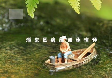浦东区房屋继承律师 浦东区房屋继承律师