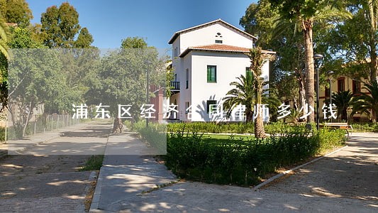 浦东区经济合同律师多少钱 浦东区经济合同律师多少钱