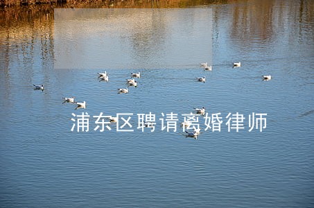 浦东区聘请离婚律师 浦东区聘请离婚律师