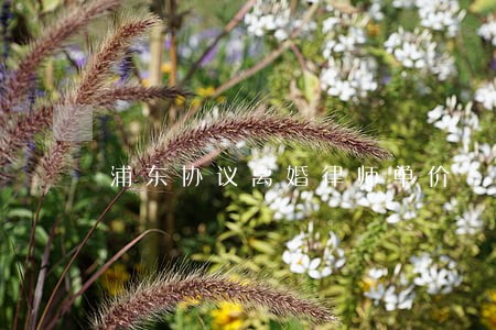 浦东协议离婚律师单价 浦东协议离婚律师单价