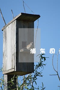 浦东司法中心 浦东司法中心
