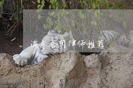 浦东合同律师推荐 浦东合同律师推荐