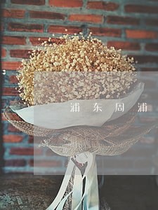 浦东周浦婚姻家庭继承律师费用 浦东周浦婚姻家庭继承律师费用