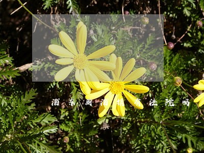 浦东周浦镇有法院吗 浦东周浦镇有法院吗