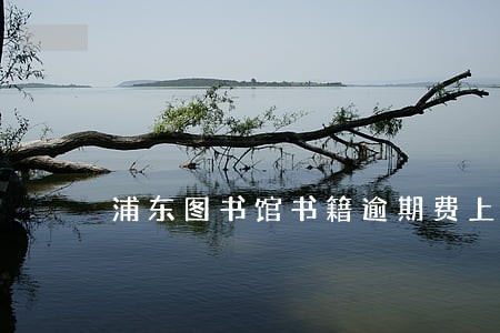 浦东图书馆书籍逾期费上限 浦东图书馆书籍逾期费上限
