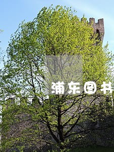 浦东图书馆疫情逾期 浦东图书馆疫情逾期