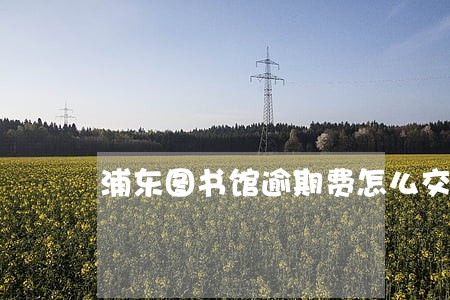 浦东图书馆逾期费怎么交 浦东图书馆逾期费怎么交