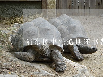 浦东图书馆逾期还书费用 浦东图书馆逾期还书费用
