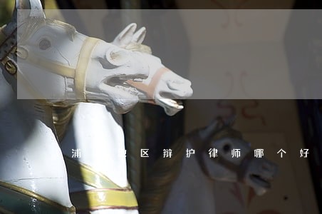 浦东地区辩护律师哪个好 浦东地区辩护律师哪个好