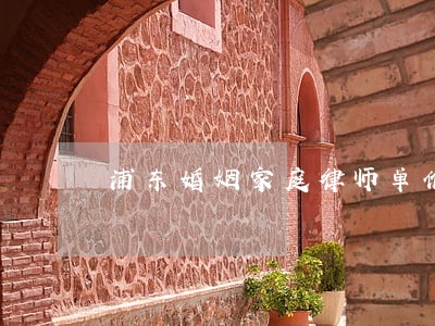 浦东婚姻家庭律师单价 浦东婚姻家庭律师单价