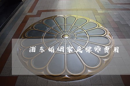 浦东婚姻家庭律师费用 浦东婚姻家庭律师费用