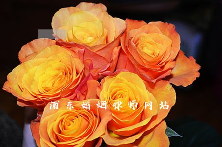 浦东婚姻律师网站 浦东婚姻律师网站