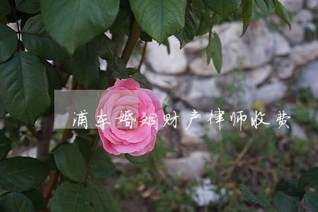 浦东婚姻财产律师收费