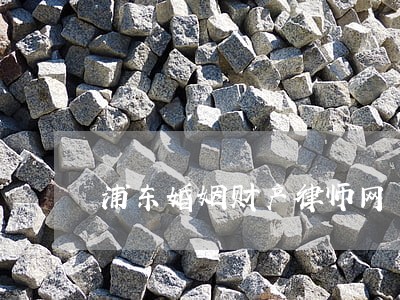 浦东婚姻财产律师网 浦东婚姻财产律师网