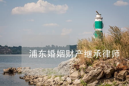 浦东婚姻财产继承律师 浦东婚姻财产继承律师