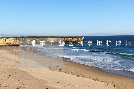 浦东工业区刑事辩护律师 浦东工业区刑事辩护律师