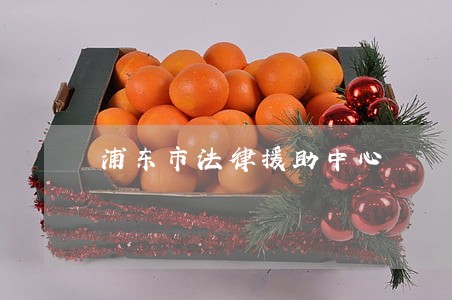 浦东市法律援助中心 浦东市法律援助中心