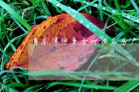 浦东律师事务所排名房产 浦东律师事务所排名房产