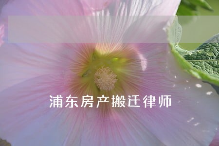 浦东房产搬迁律师 浦东房产搬迁律师