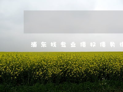 浦东找专业债权债务律师团队 浦东找专业债权债务律师团队