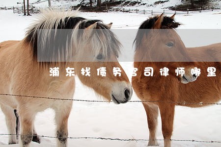 浦东找债务官司律师哪里找 浦东找债务官司律师哪里找