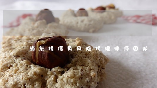 浦东找债务风险代理律师团队 浦东找债务风险代理律师团队