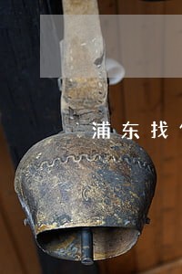 浦东找债权债务律师团队 浦东找债权债务律师团队