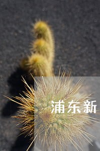 浦东新区专业债务律师收费 浦东新区专业债务律师收费
