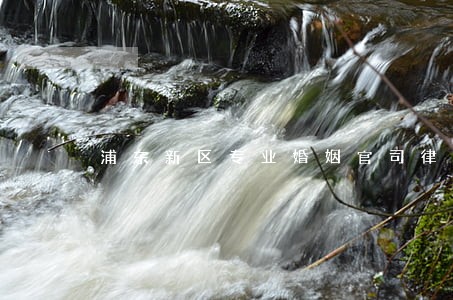 浦东新区专业婚姻官司律师 浦东新区专业婚姻官司律师