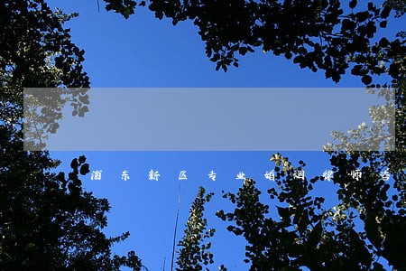 浦东新区专业婚姻律师咨询 浦东新区专业婚姻律师咨询