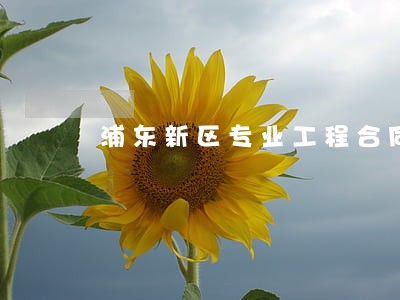 浦东新区专业工程合同律师哪里好