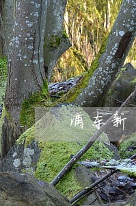 浦东新区专业的法律援助 浦东新区专业的法律援助