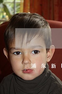 浦东新区专业股权纠纷律师找谁 浦东新区专业股权纠纷律师找谁