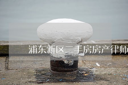 浦东新区二手房房产律师联系方式 浦东新区二手房房产律师联系方式