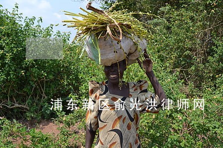 浦东新区俞光洪律师网 浦东新区俞光洪律师网