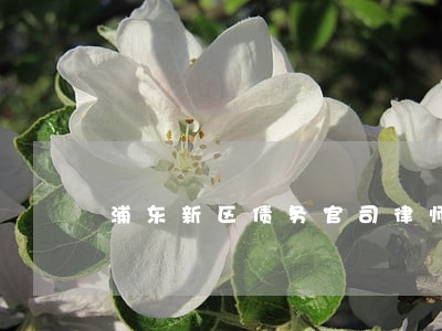 浦东新区债务官司律师咨询 浦东新区债务官司律师咨询