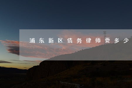 浦东新区债务律师要多少钱