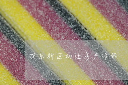 浦东新区动迁房产律师 浦东新区动迁房产律师