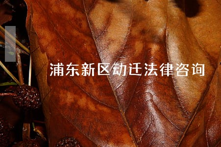 浦东新区动迁法律咨询 浦东新区动迁法律咨询