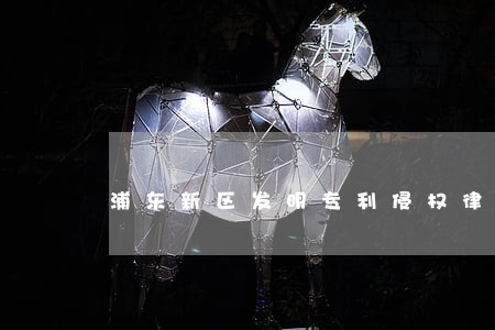 浦东新区发明专利侵权律师 浦东新区发明专利侵权律师