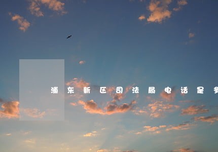 浦东新区司法局电话是多少