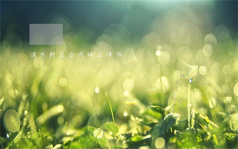 浦东新区合同终止律师 浦东新区合同终止律师