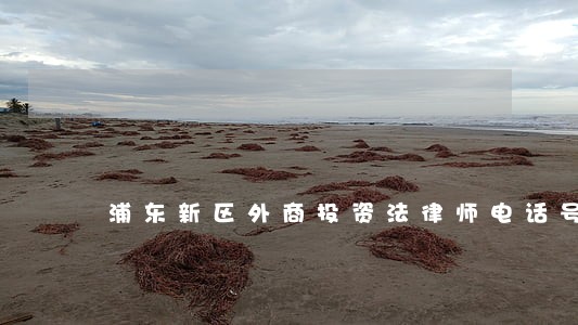 浦东新区外商投资法律师电话号码 浦东新区外商投资法律师电话号码