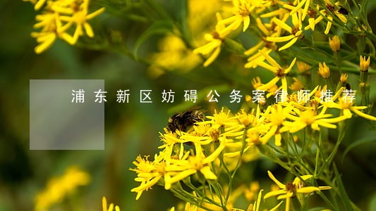浦东新区妨碍公务案律师推荐 浦东新区妨碍公务案律师推荐