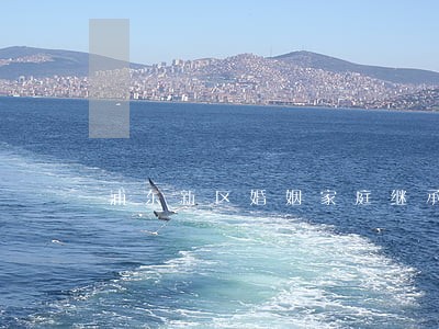 浦东新区婚姻家庭继承律师 浦东新区婚姻家庭继承律师