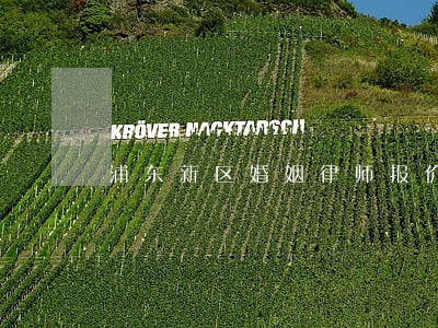 浦东新区婚姻律师报价 浦东新区婚姻律师报价
