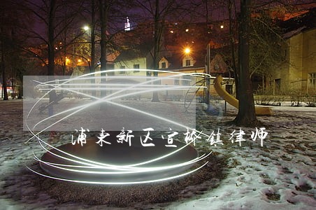 浦东新区宣桥镇律师 浦东新区宣桥镇律师